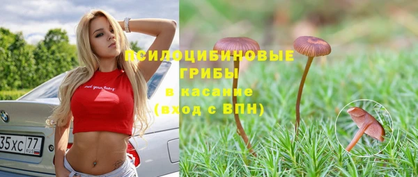 меф Ладушкин