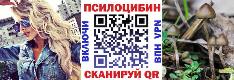 купить наркотик  Суровикино  гидра ТОР  Псилоцибиновые грибы Psilocybine cubensis 